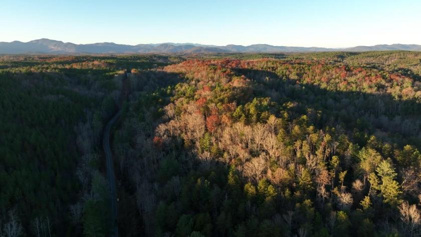  19.95 Acres for Sale in Mill Spring, North Carolina