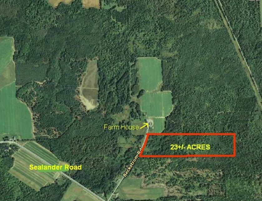  23 Acres for Sale in Woodland, Maine