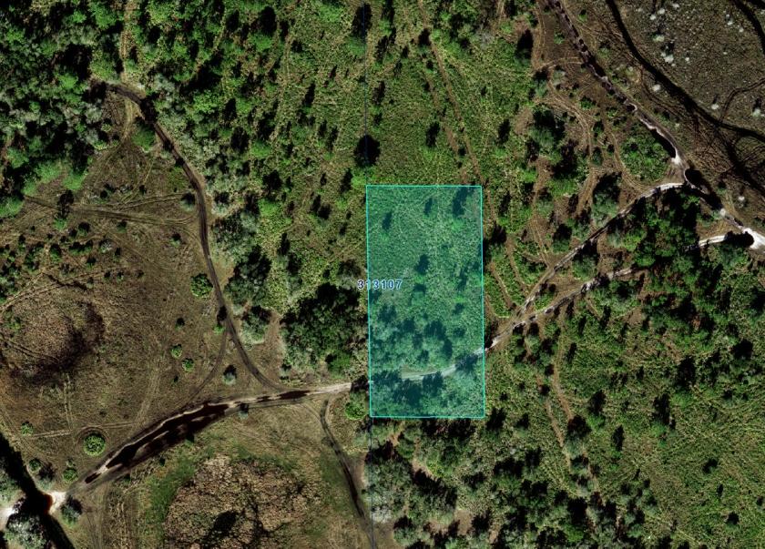  1.25 Acres for Sale in River Ranch, Florida