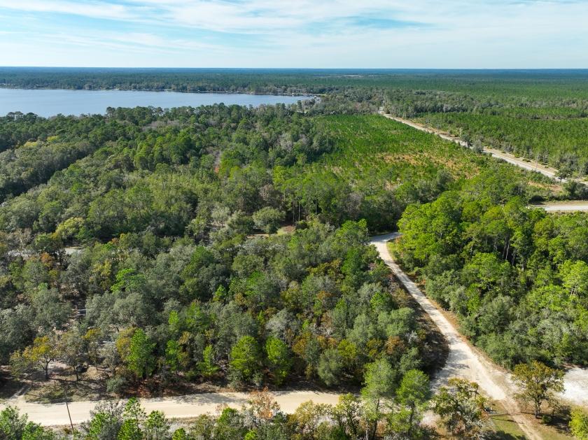  0.25 Acres for Sale in Florahome, Florida