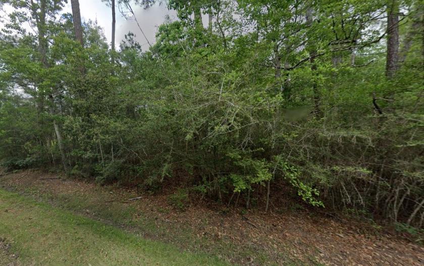 0.11 Acres for Sale in Bay St. Louis, Mississippi