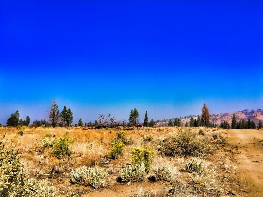 2.38 Acres for Sale in chiloquin, Oregon