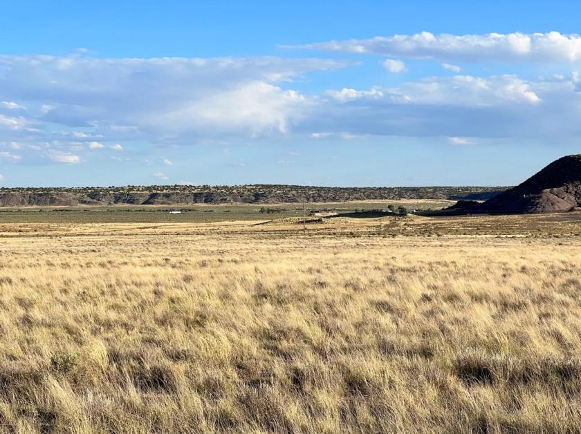 1 Acres for Sale in Sanders, Arizona