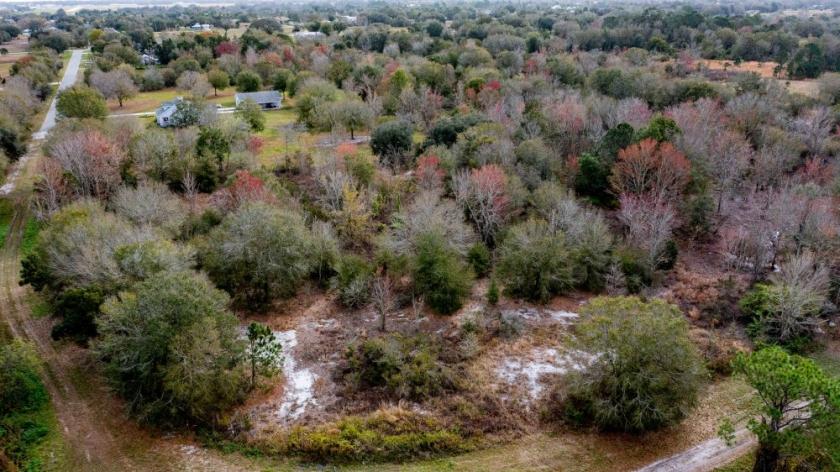 1.19 Acres for Sale in Avon Park, Florida