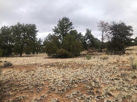  5.44 Acres for Sale in Ramah, New Mexico