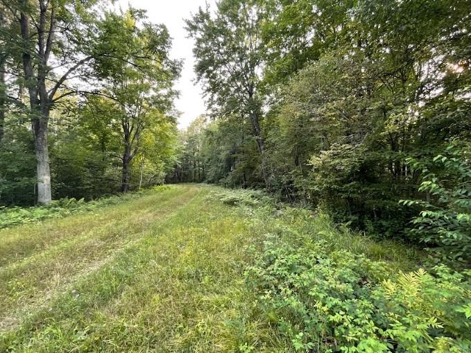 1.35 Acres for Sale in Cable, Wisconsin