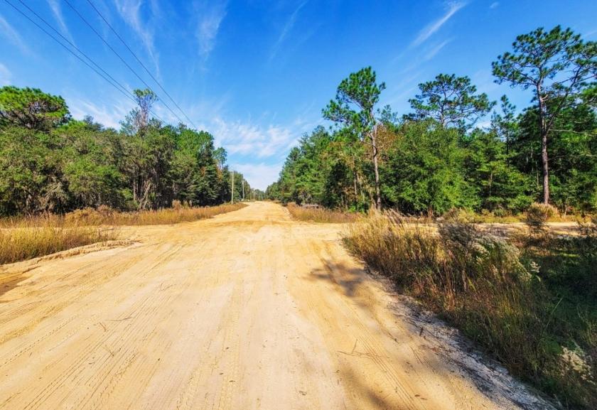  0.2 Acres for Sale in Hawthorne, Florida