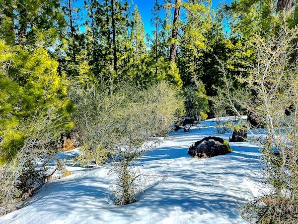 1 Acres for Sale in California Pines, California