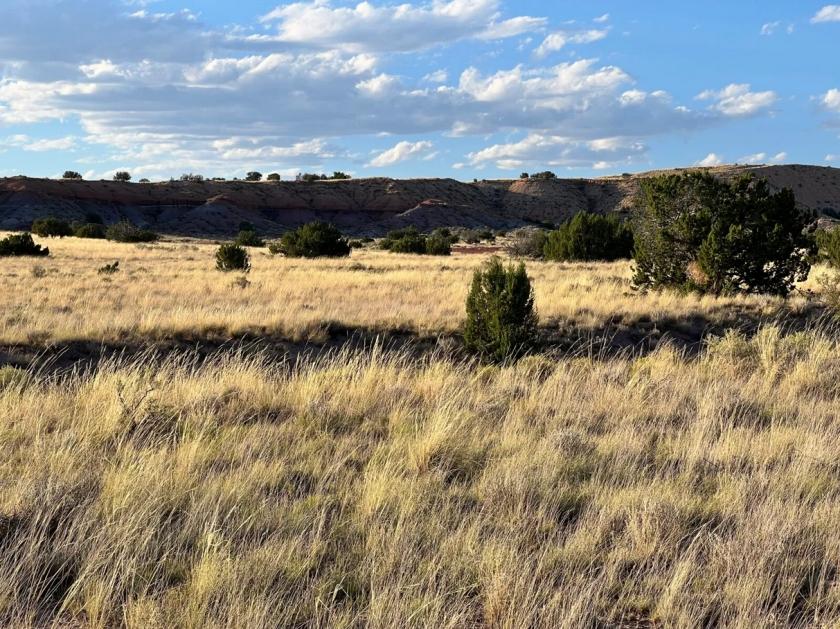 1 Acres for Sale in Chambers, Arizona