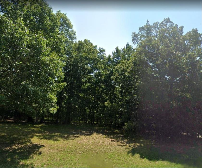  0.29 Acres for Sale in Lead Hill, Arkansas