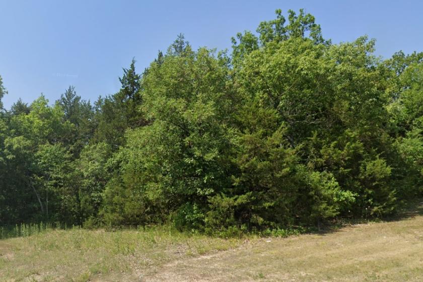  0.21 Acres for Sale in Lead Hill, Arkansas