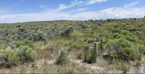  10 Acres for Sale in Pequop, Nevada