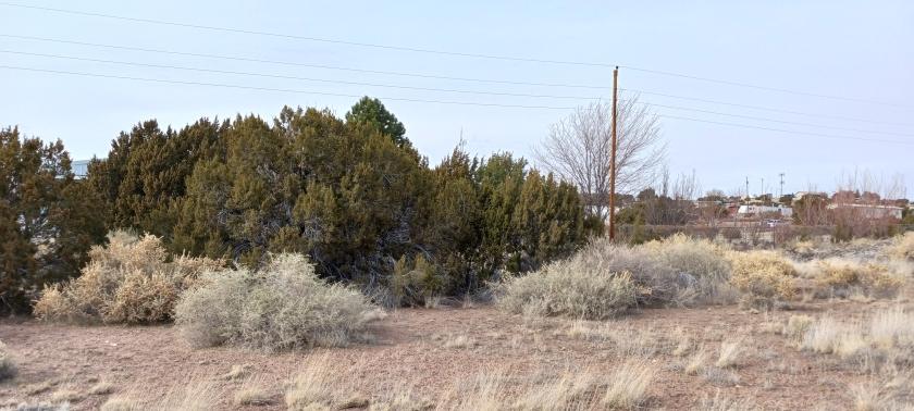 0.34 Acres for Sale in Concho, Arizona