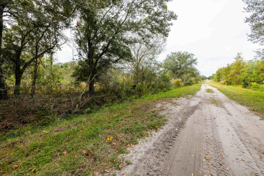 1.15 Acres for Sale in Avon Park, Florida