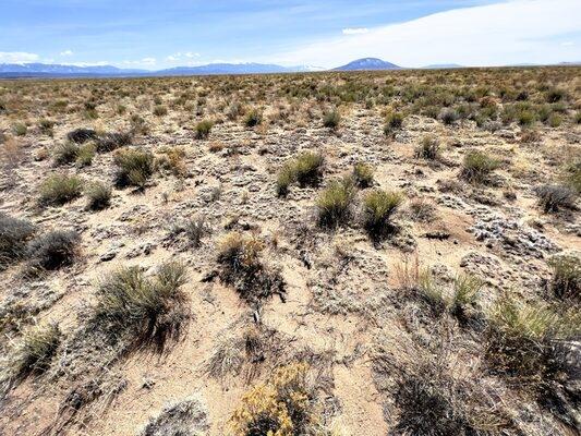 5 Acres for Sale in Sanford, Colorado