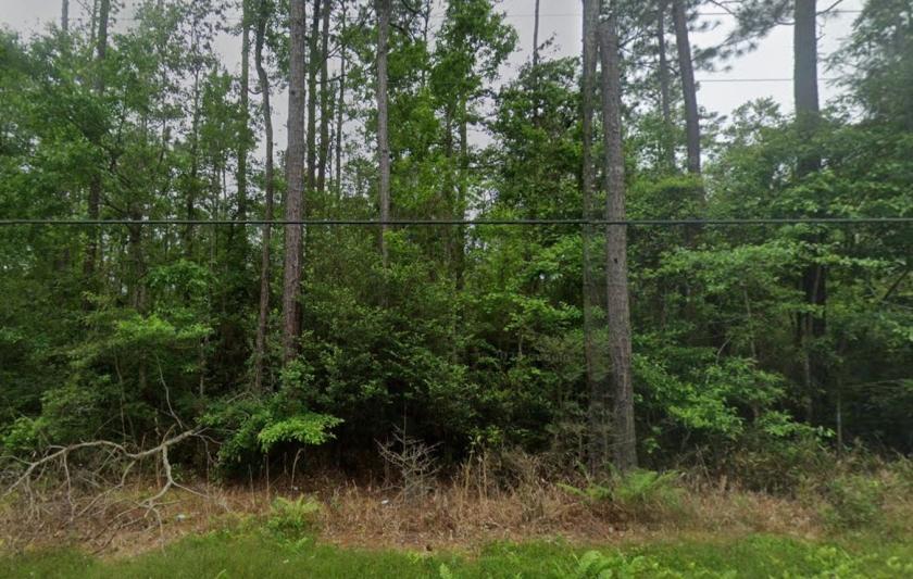  0.11 Acres for Sale in Bay St. Louis, Mississippi