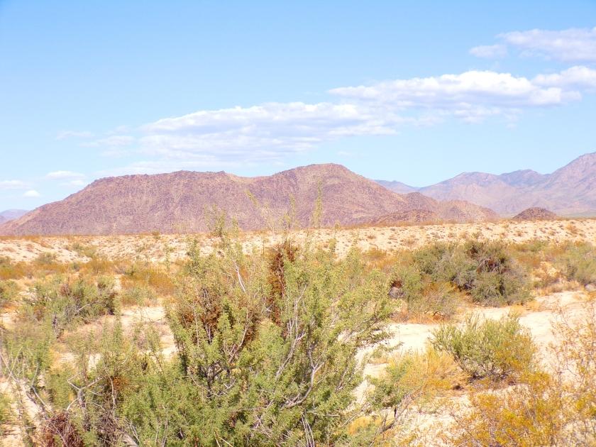  7.61 Acres for Sale in Yucca, Arizona