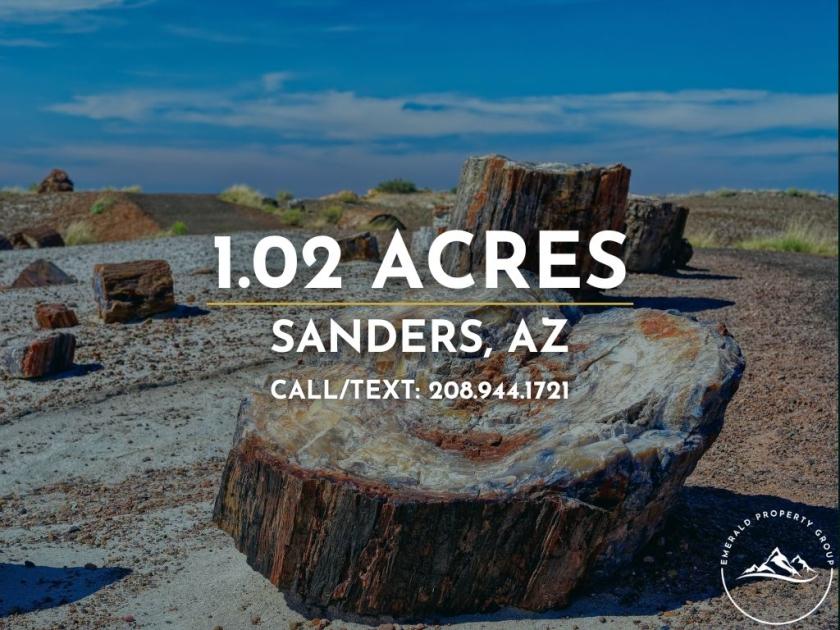 1.02 Acres for Sale in Sanders, Arizona