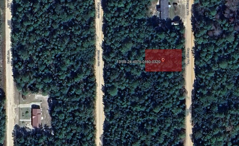 0.22 Acres for Sale in Interlachen, Florida