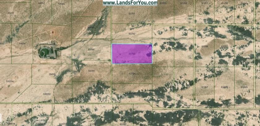  20.10 Acres for Sale in Fort Hancock, Texas