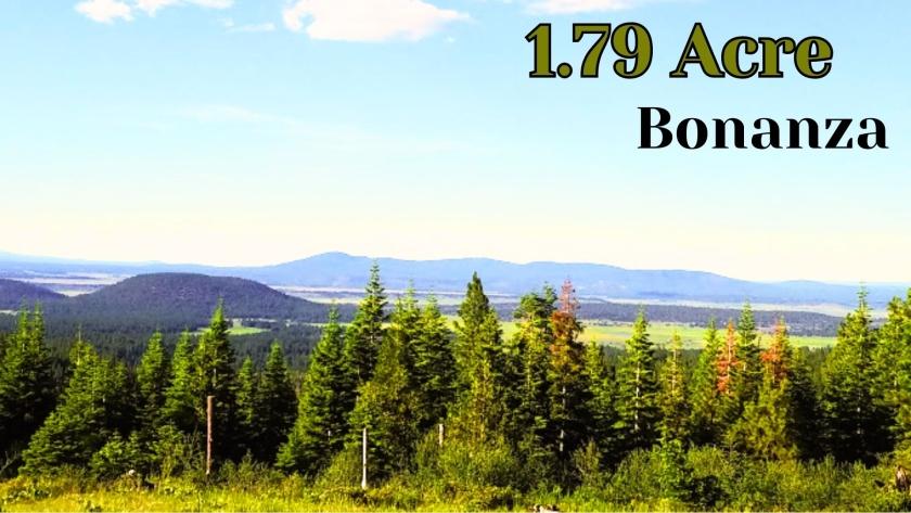  1.79 Acres for Sale in Bonanza, Oregon