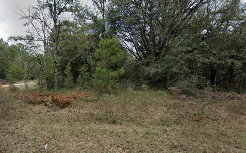 0.22 Acres for Sale in Interlachen, Florida