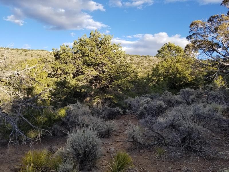 1.23 Acres for Sale in San Pablo, Colorado
