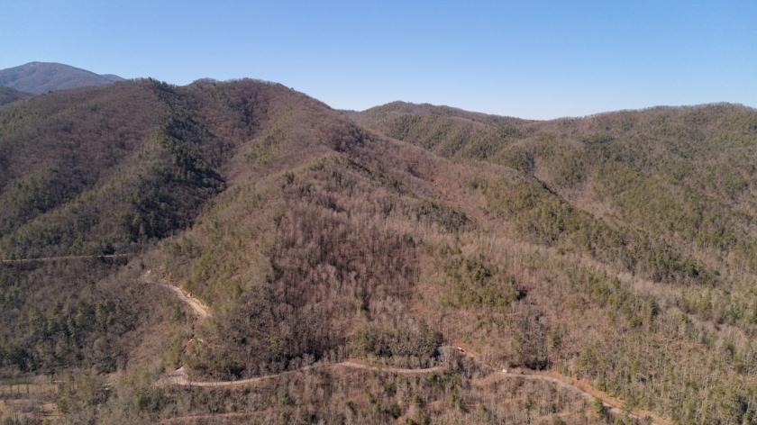  19.2 Acres for Sale in Hot Springs, North Carolina