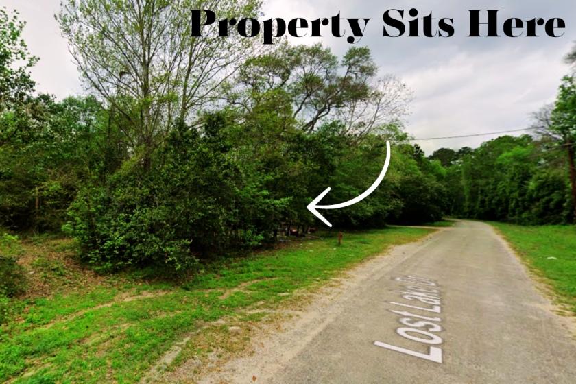  0.32 Acres for Sale in New Caney, Texas