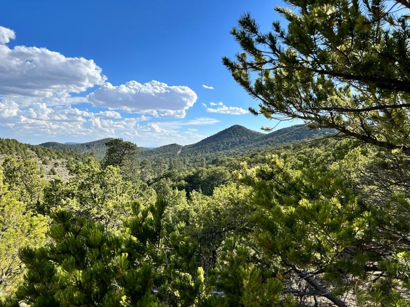 5.07 Acres for Sale in Fort Garland, Colorado