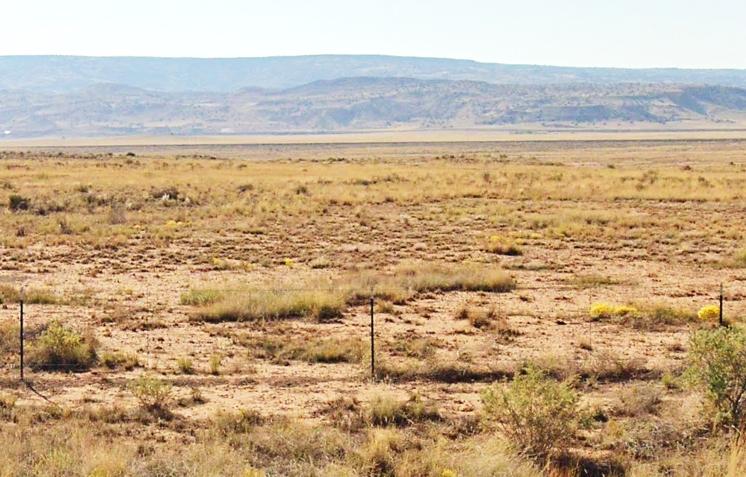 0.25 Acres for Sale in Rio Communities, New Mexico
