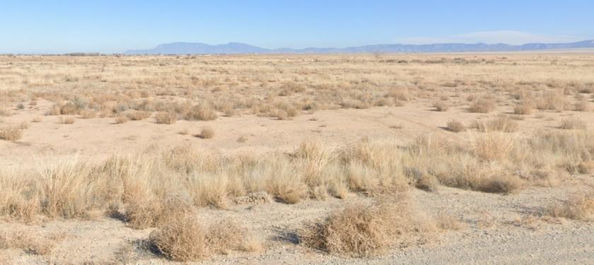 0.25 Acres for Sale in Rio Communities North, New Mexico
