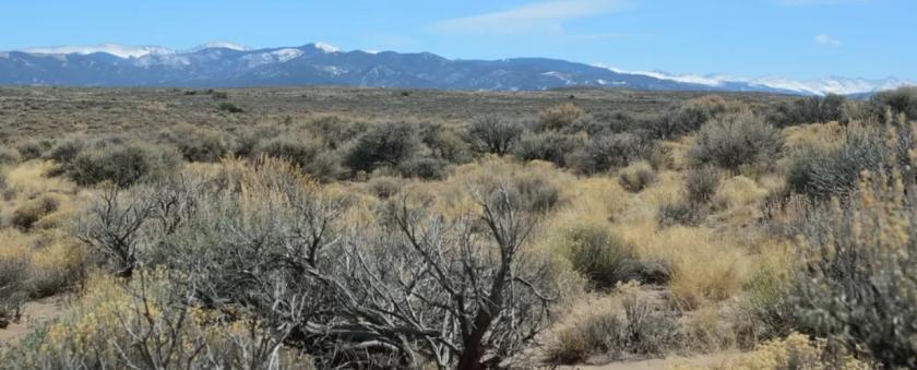 4.85 Acres for Sale in Blanca, Colorado