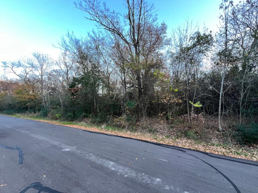 0.13 Acres for Sale in Mabank, Texas