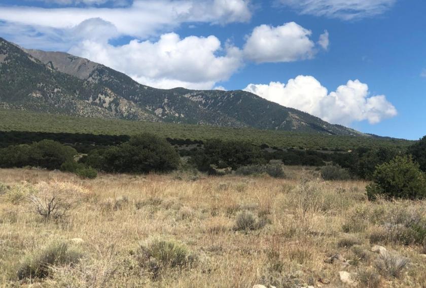 4.9 Acres for Sale in Blanca, Colorado