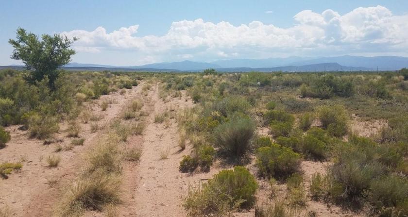 4.76 Acres for Sale in Blanca, Colorado