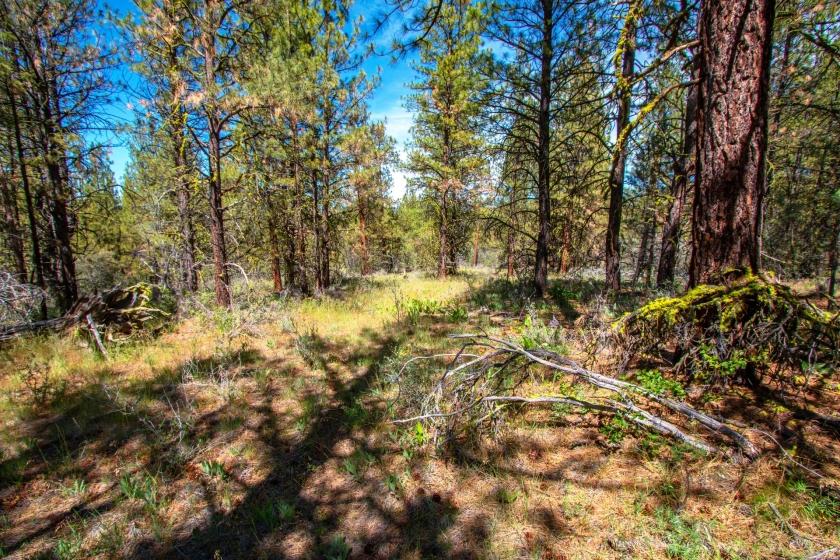 2.82 Acres for Sale in Beatty, Oregon