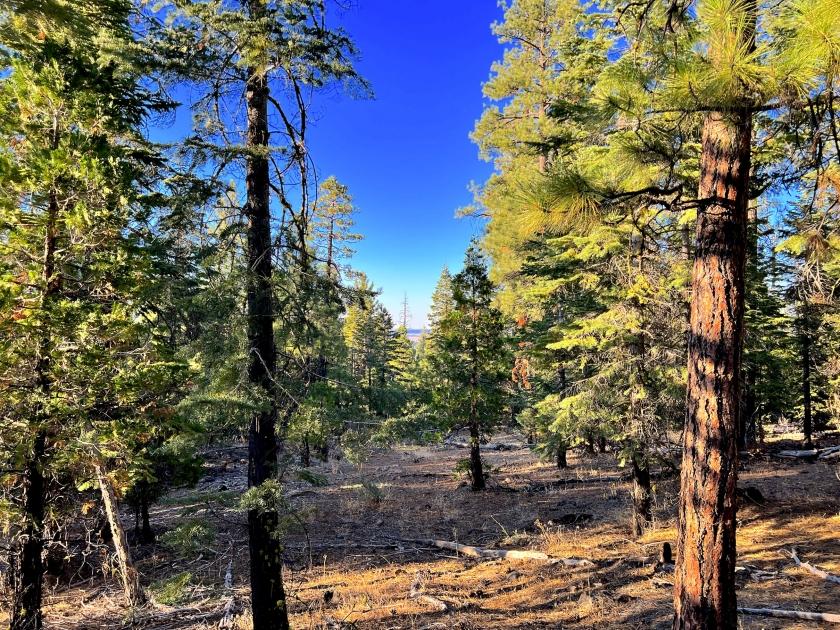 0.96 Acres for Sale in Alturas, California