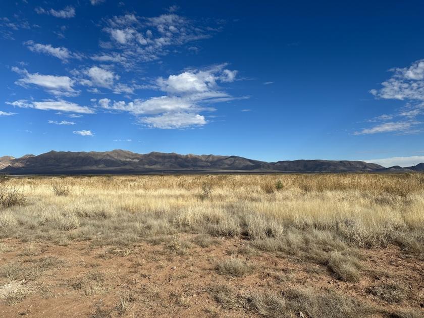  4.91 Acres for Sale in McNeal, Arizona