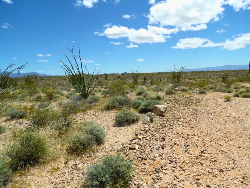  2.35 Acres for Sale in Yucca, Arizona