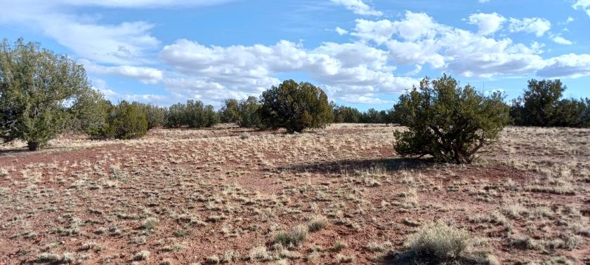 1.05 Acres for Sale in Concho, Arizona