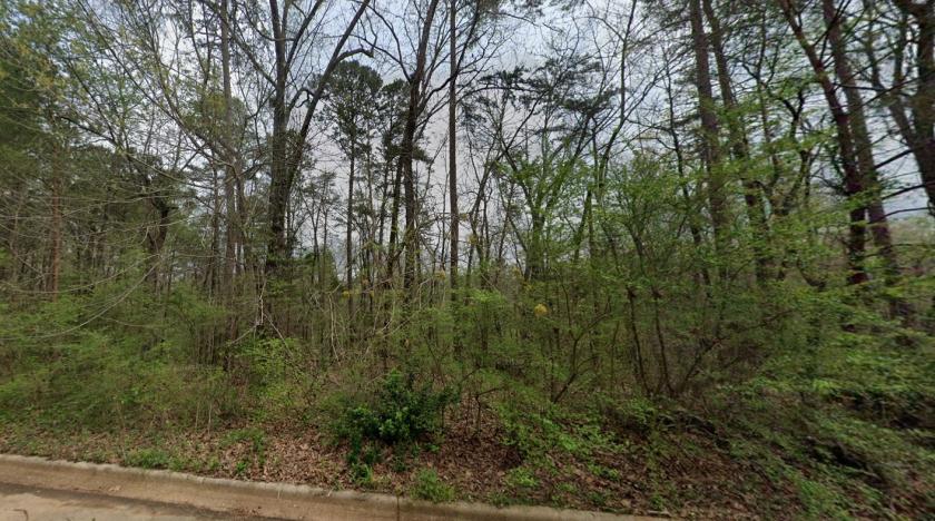 0.36 Acres for Sale in Birmingham, Alabama