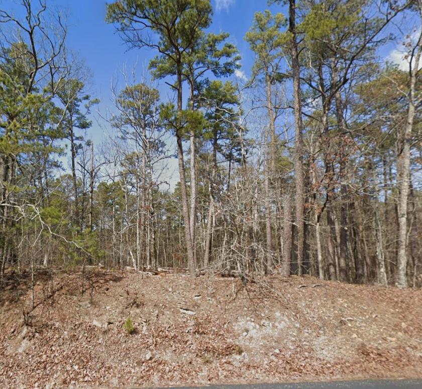 0.29 Acres for Sale in Hot Springs Village, Arkansas