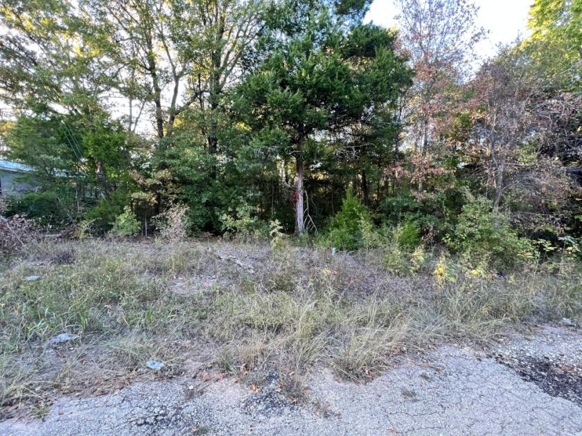 0.37 Acres for Sale in Mabank, Texas