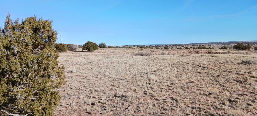  2.02 Acres for Sale in Sanders, Arizona