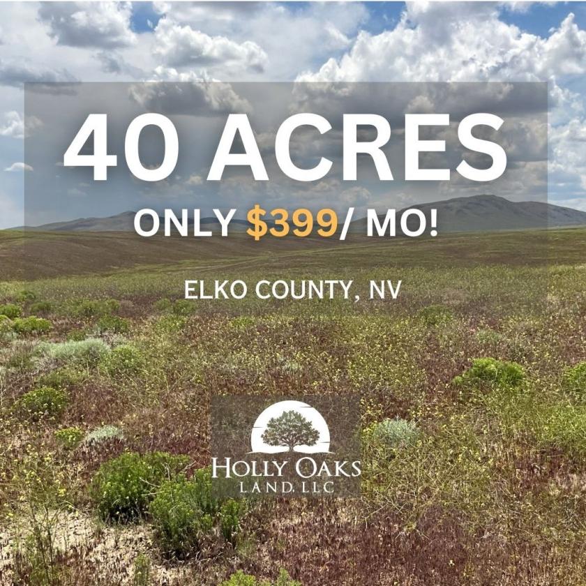  40 Acres for Sale in Elko, Nevada
