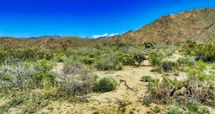 1.88 Acres for Sale in Yucca, Arizona