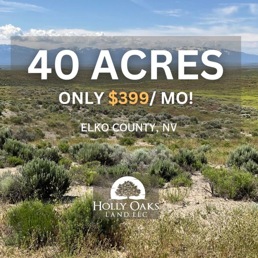  40 Acres for Sale in Halleck, Nevada