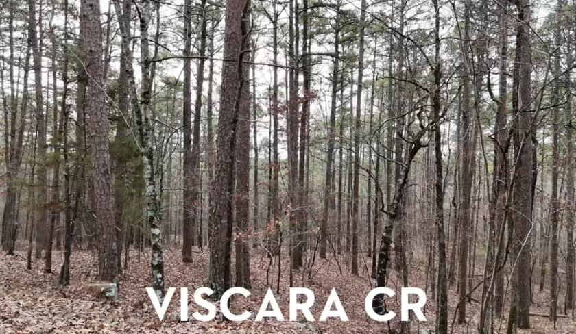 0.25 Acres for Sale in Hot Springs Village, Arkansas