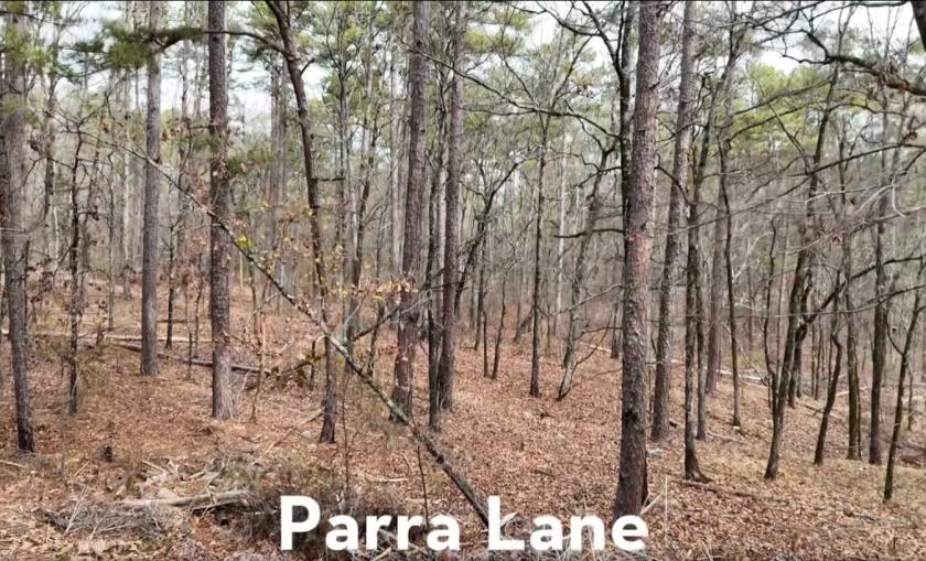0.29 Acres for Sale in Hot Springs Village, Arkansas